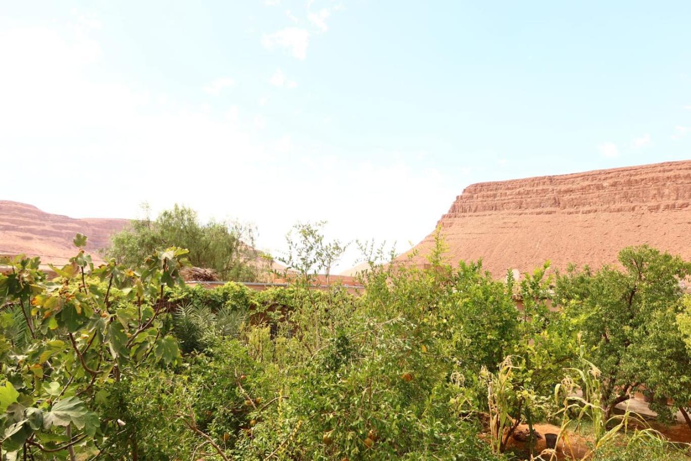 Gite D'Etape Ziz Oasis Achbarou Kültér fotó