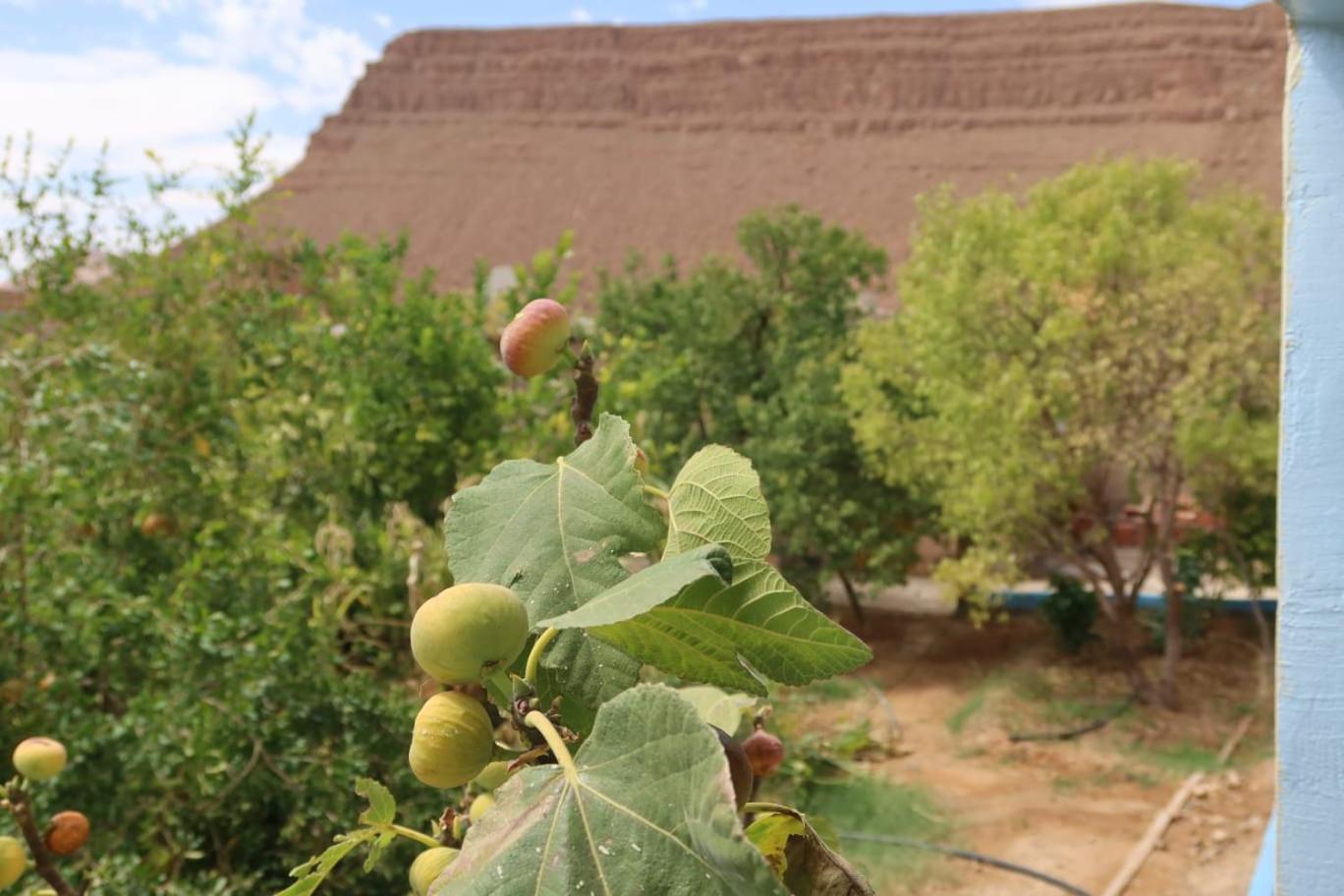 Gite D'Etape Ziz Oasis Achbarou Kültér fotó