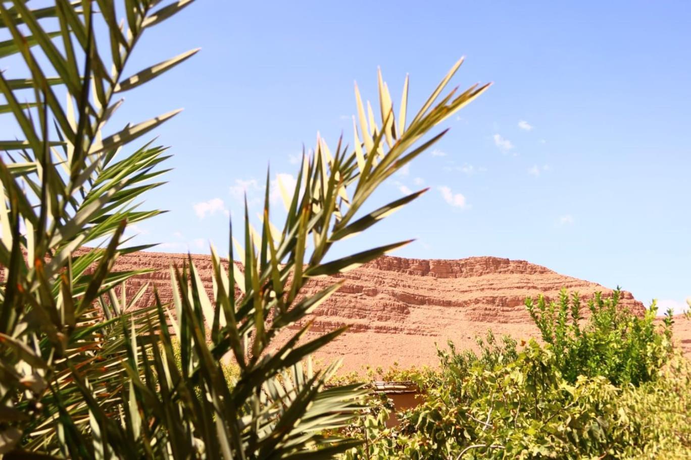 Gite D'Etape Ziz Oasis Achbarou Kültér fotó