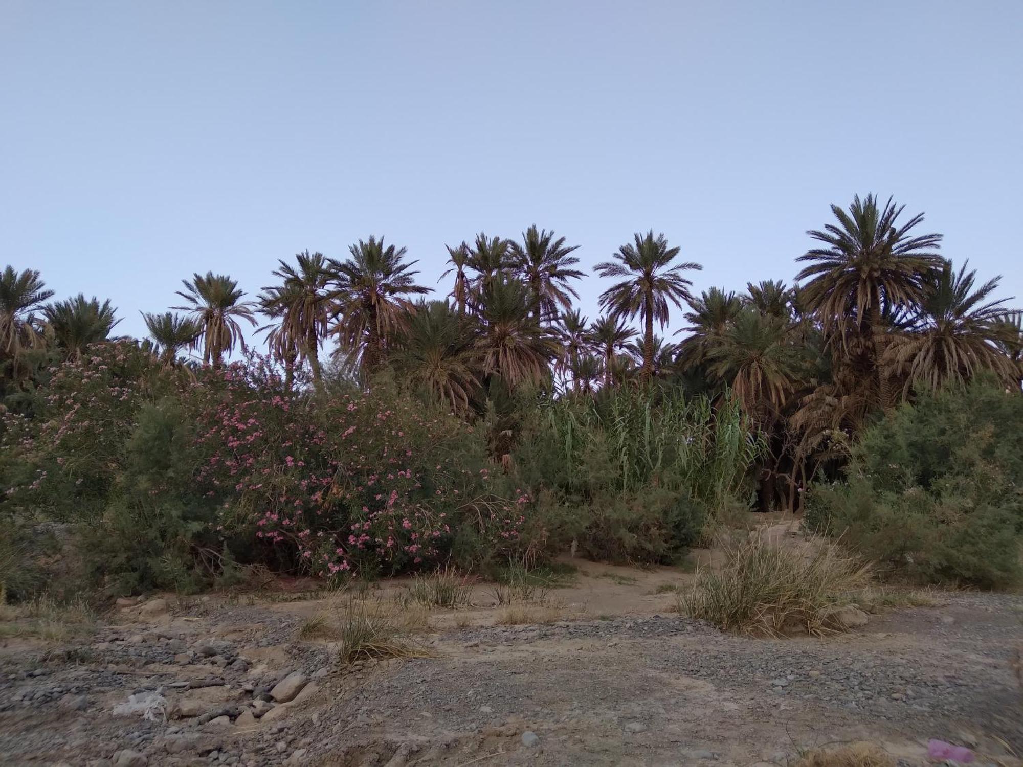 Gite D'Etape Ziz Oasis Achbarou Kültér fotó